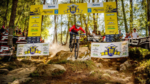 Video 1 trigger image